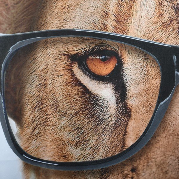 Dušo užuolaida 180x200 cm Smartlion – Spirella-image-1