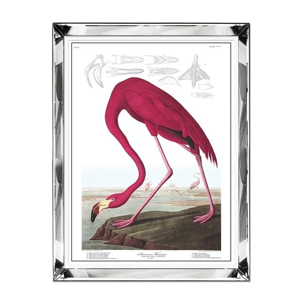 Sienų tapyba "JohnsonStyle" Flamingas, 71 x 91 cm