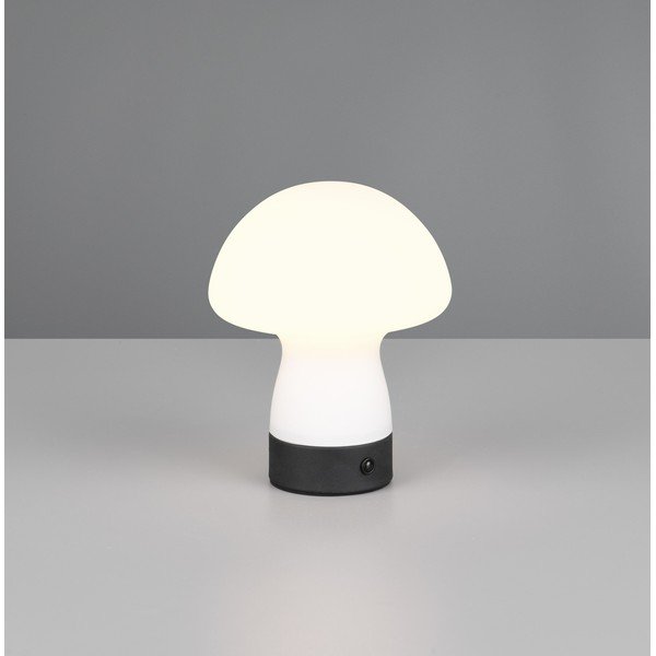 Matinės baltos spalvos stalinis šviestuvas LED (aukštis 18 cm) su stiklo gaubtu Dooley – Reality-image-1