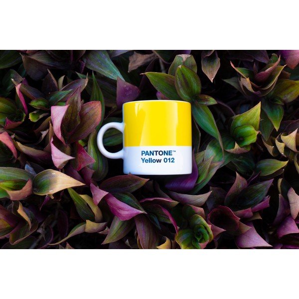 Geltonos spalvos iš porceliano puodelis espreso 120 ml Yellow 012 – Pantone-image-1