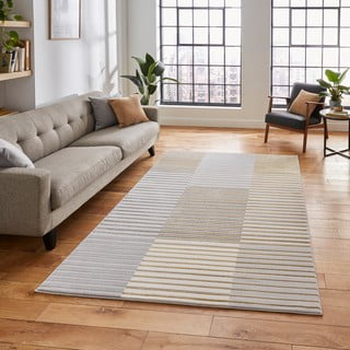 Pilkos/aukso spalvos kilimas 220x160 cm Apollo - Think Rugs