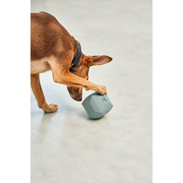 Žaislas šuniui Dado Eucalyptus – MiaCara-image-2