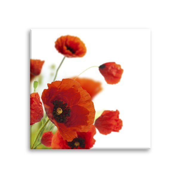 Vaizdas Styler Glas Poppies Poppies, 30 x 30 cm