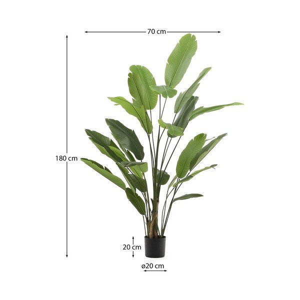 Dirbtinis bananmedis (aukštis 210 cm) – Kave Home-image-2