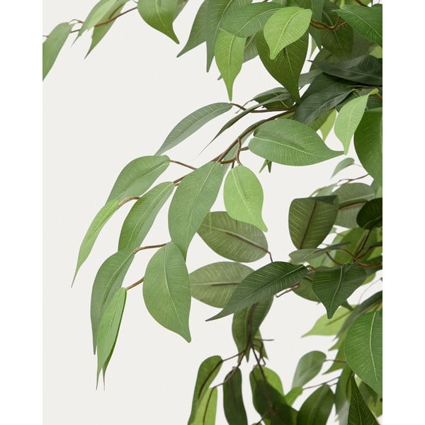 Dirbtinis fikusas (aukštis 180 cm) Ficus – Kave Home-image-3