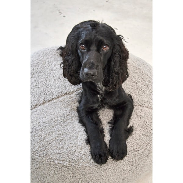 Iš boucle augintinio guolis pilkos spalvos šuniui ø 90 cm Senso Pouffe Pebble M/L – MiaCara-image-2