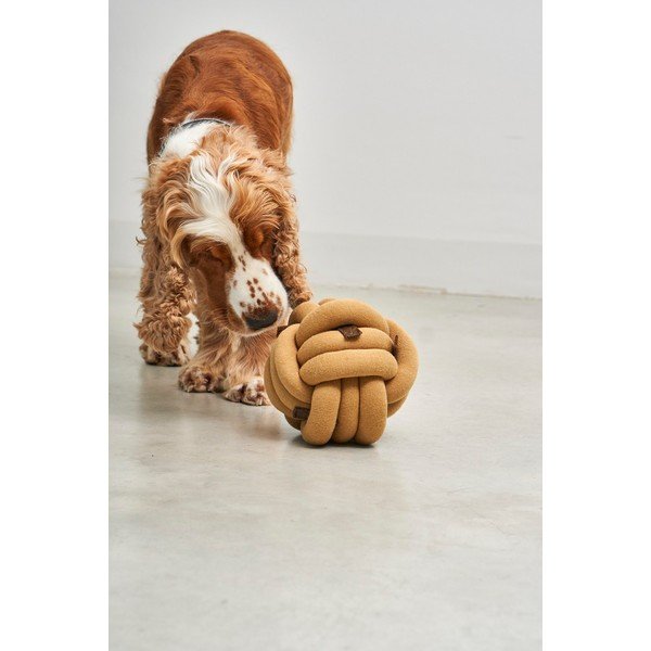 Žaislas šuniui Tubo Curry – MiaCara-image-3