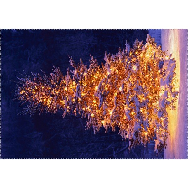 Kilimų kilimas Vitaus Kalėdų laikotarpio apšviesta eglutė lauke, 50 x 80 cm