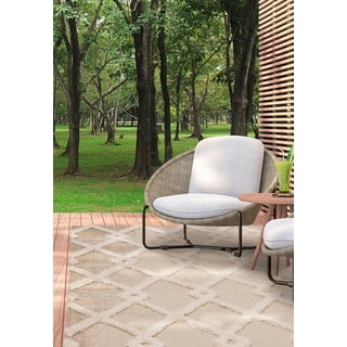 Lauko kilimas kreminės spalvos 160x230 cm Monty – Asiatic Carpets