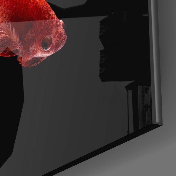 Paveikslas ant stiklo Insigne Betta II.-image-3