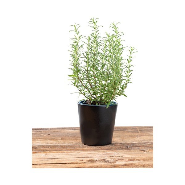 Juodas vazonas Wenko Black Outdoor Kitchen Kuro, ø 13 cm-image-4