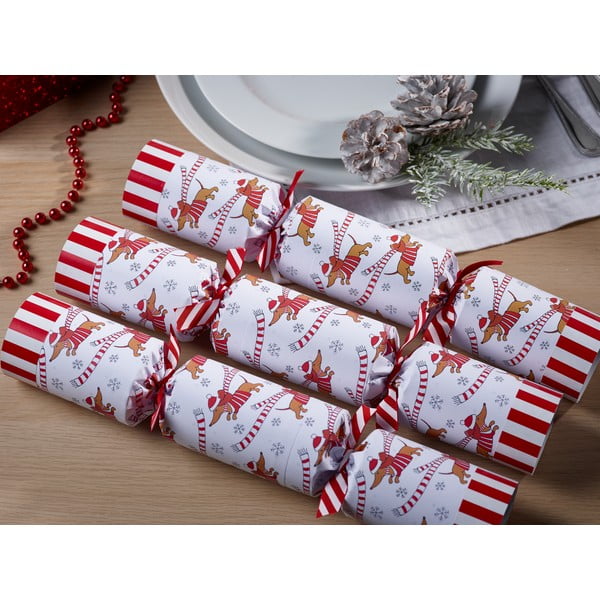 Kalėdiniai krekeriai 6 vnt. Racing Sausage Dog – Robin Reed-image-1