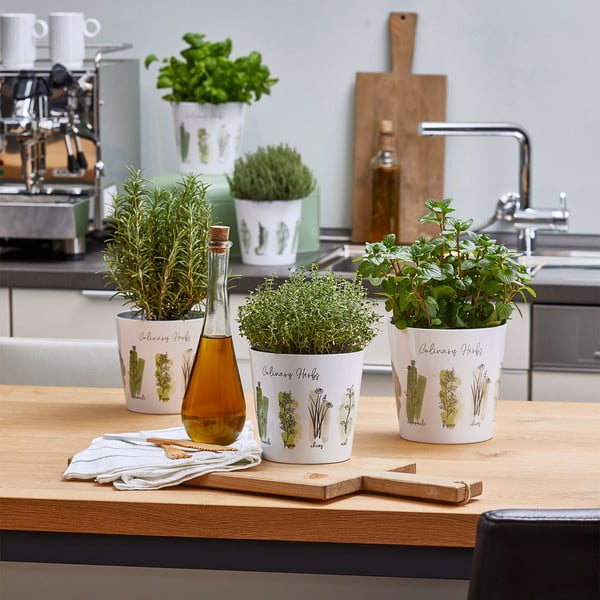 2 keraminių vazonų rinkinys žolelėms ø 14 cm Dalllas Culinary - Big pots-image-2