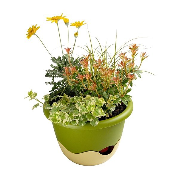 Žalios ir baltos spalvos pakabinamas savaiminio laistymo vazonas Plastia Mareta, 25 cm ilgio-image-2