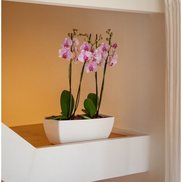 Iš perdirbto plastiko vazonas gėlėms 40 cm Siena – Artevasi-image-4