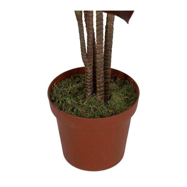 Dirbtinis augalas (aukštis 170 cm) – Ixia-image-3