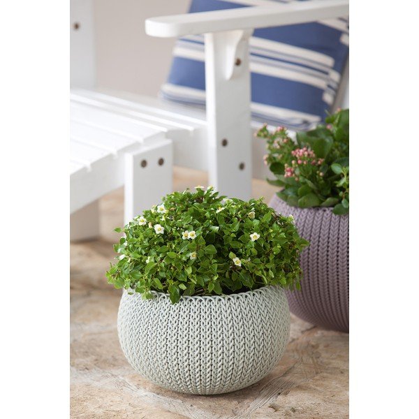 Iš plastiko pakabinamas ir sieninis vazonas ø 28 cm Cozy – Keter-image-1