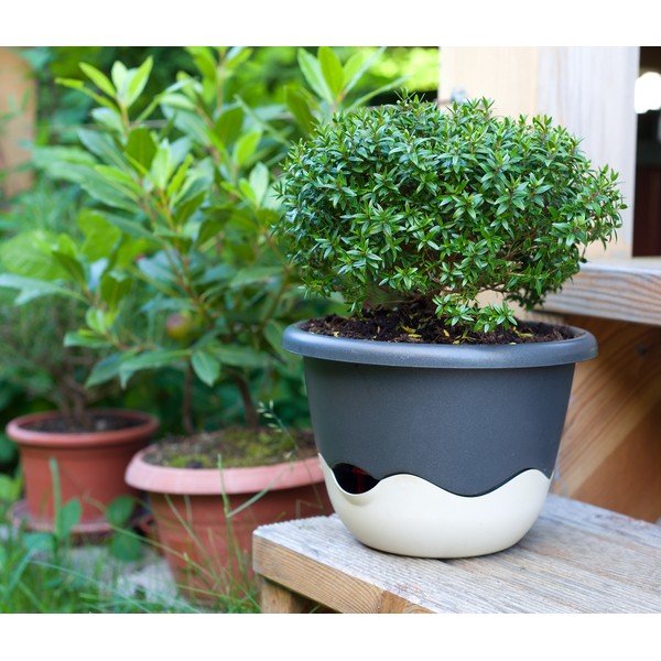Mėlynos ir baltos spalvos pakabinamas savaiminio laistymo vazonas Plastia Mareta, 30 cm ilgio-image-1