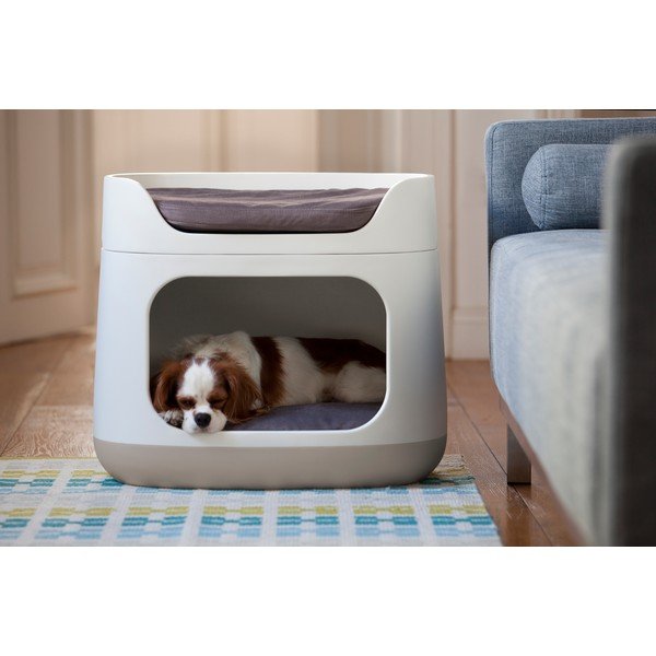 Smėlio spalvos guolis katėms ir šunims Curver Bunkbed-image-1