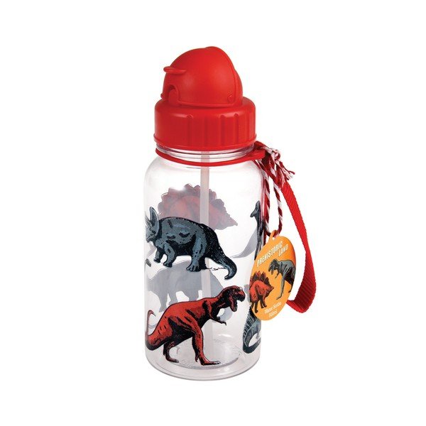 Vandens buteliukas "Rex London Prehistoric", 500 ml
