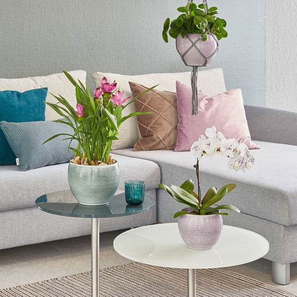 Keraminis vazonas ø 22 cm Manacor Deluxe - Big pots-image-1