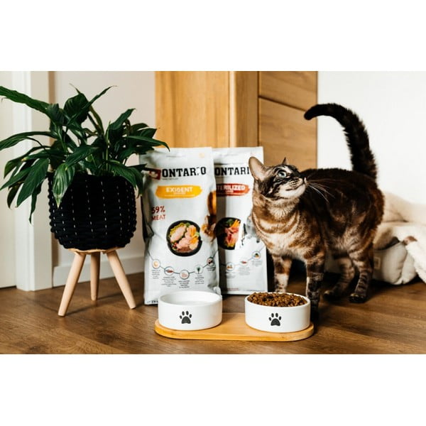 Iš keramikos dubenėlių komplektas su stovu šuniui ø 13 cm Dog Fantasy – Plaček Pet Products-image-1