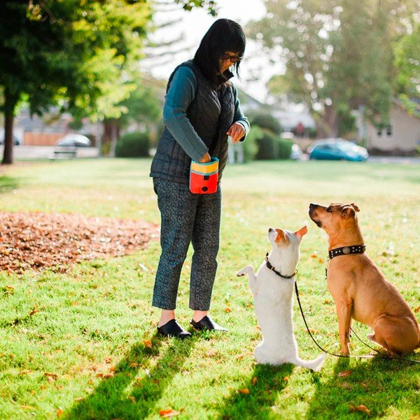 Krepšys skanėstams Deluxe Sunrise - P.L.A.Y.-image-1