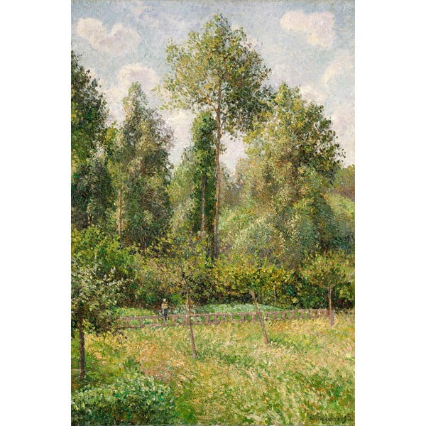 Camille Pissarro reprodukcija Poplars Éragny, 60 x 80 cm