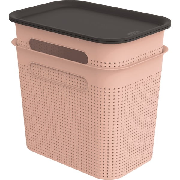Iš plastiko daiktadėžės šviesiai rožinės spalvos su dangčiu 2 vnt. 18,5x27x26 cm Brisen – Rotho