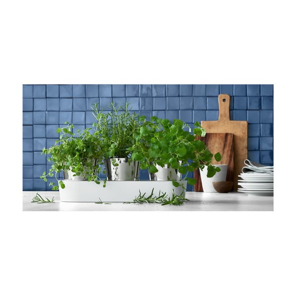 3 nerūdijančio plieno vazonų rinkinys žolelėms WMF Gourmet-image-1