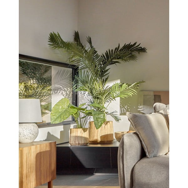 Dirbtinė palmė (aukštis 70 cm) – Kave Home-image-1