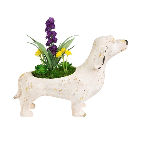 Apdaila Sass & Belle Gėlės Šuo