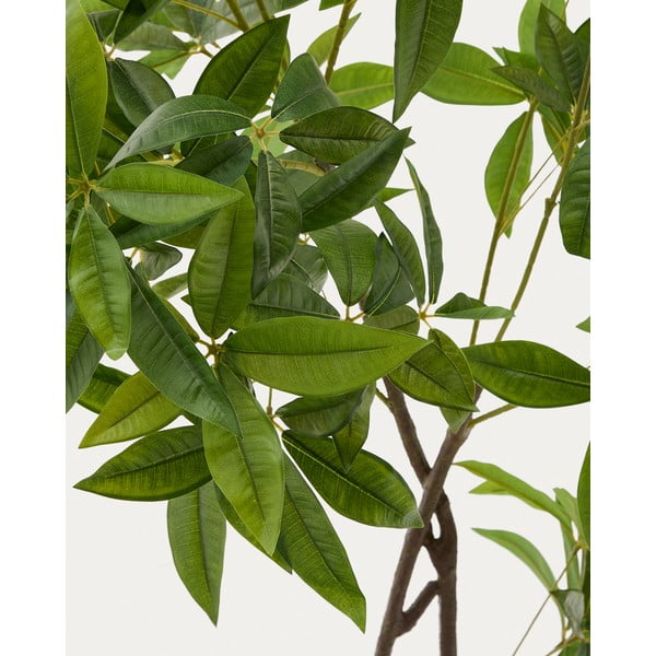 Dirbtinis augalas (aukštis 180 cm) Pachira – Kave Home-image-1