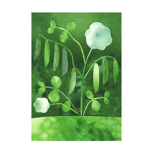 Plakatas 50x70 cm Peas in Bloom – Anna Ravn Bjørn – The Poster Club