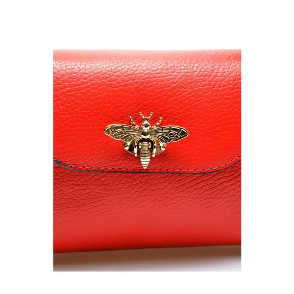 Odinė rankinė - Anna Luchini-image-2