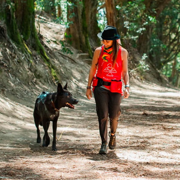 Diržas Explorer Pack Lava - P.L.A.Y.-image-3