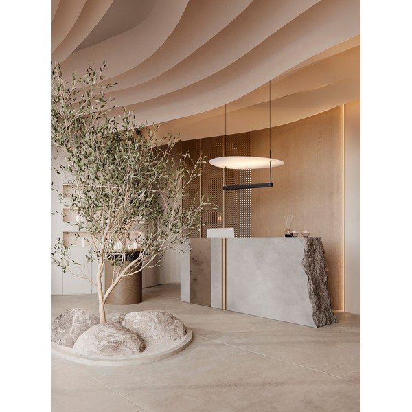 Baltos spalvos/matinės juodos spalvos iš aliuminio kabantis šviestuvas LED su pritemdymo funkcija ø 60 cm Diona – Nova Luce-image-1