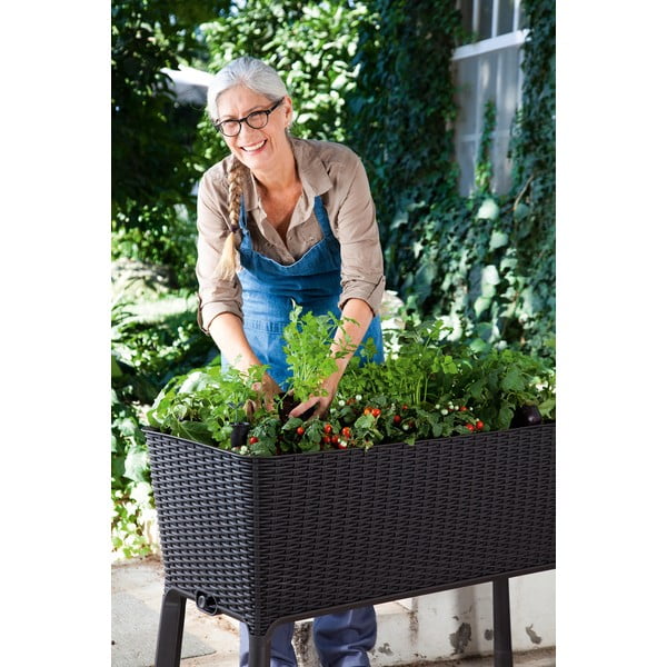 Vazonas gėlėms Easy Grow – Keter-image-3