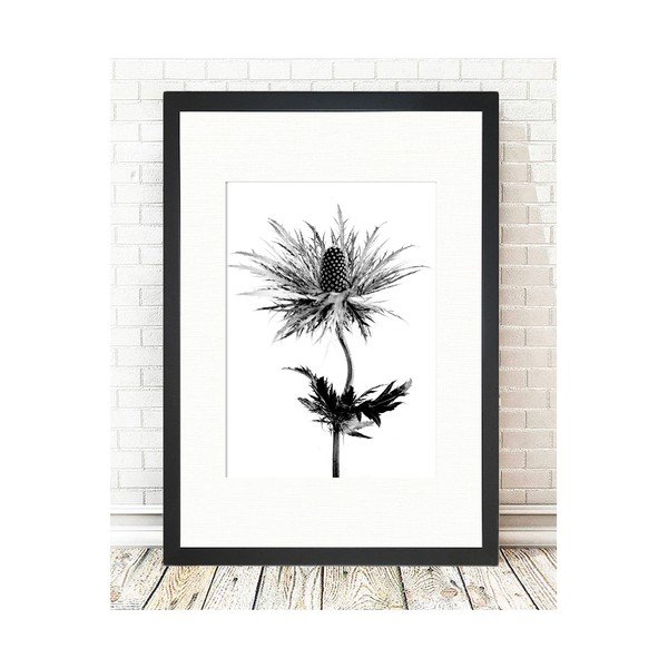 Plakatas 24x29 cm Thistle Vibes - Tablo Center-image-1