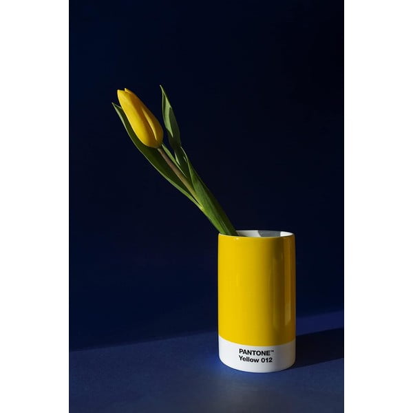 Raudona keraminė pieštukinė Pantone-image-2