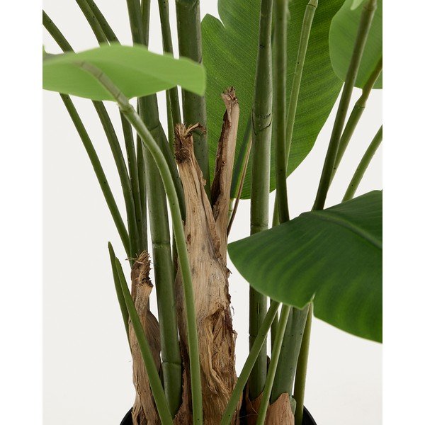 Dirbtinis bananmedis (aukštis 210 cm) – Kave Home-image-1