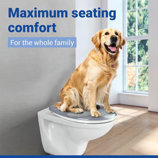 Tualeto sėdynė Easy-close funkcija 36,8 x 43 Fleur – Allstar-image-1