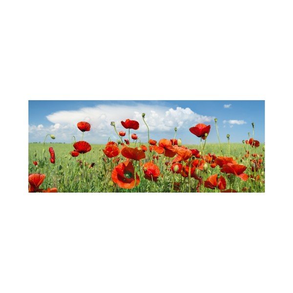 Tapyba ant stiklo Insigne Saskia, 92 x 36 cm-image-1