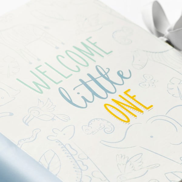 Kūdikio dienoraštis 98 psl. Blue – Busy B-image-1