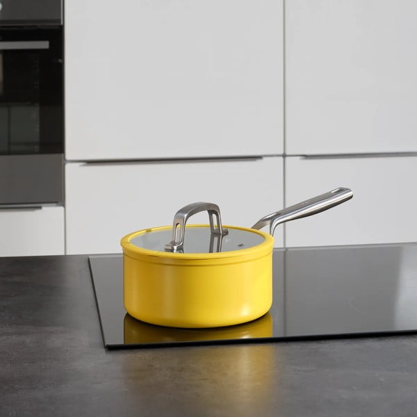 Puodas su dangčiu/su keramine danga tinka indukcinei viryklei 2,4 l Meda 3.0 – FABINI-image-1