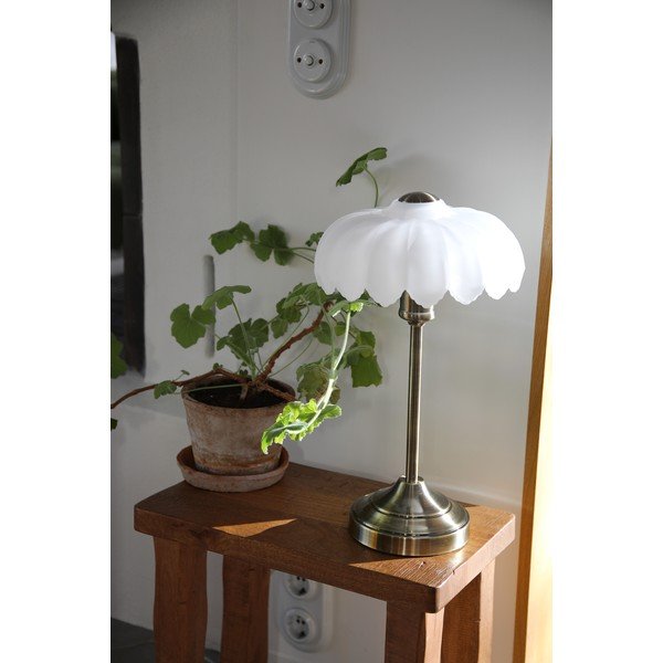 Kreminės spalvos/žalvario spalvos stalinis šviestuvas (aukštis 43 cm) Kurage – Markslöjd-image-1