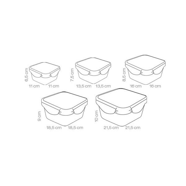 Maisto dėžutės 5 vnt. Freshbox - Tescoma-image-2