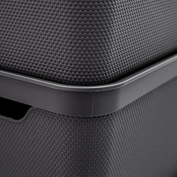 Plastikinė laikymo dėžė su dangčiu Deco - Rotho-image-3