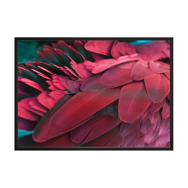 Plakatas "DecoKing Feathers Red", 100 x 70 cm