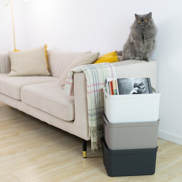 Plastikinė laikymo dėžė su dangčiu Deco - Rotho-image-1